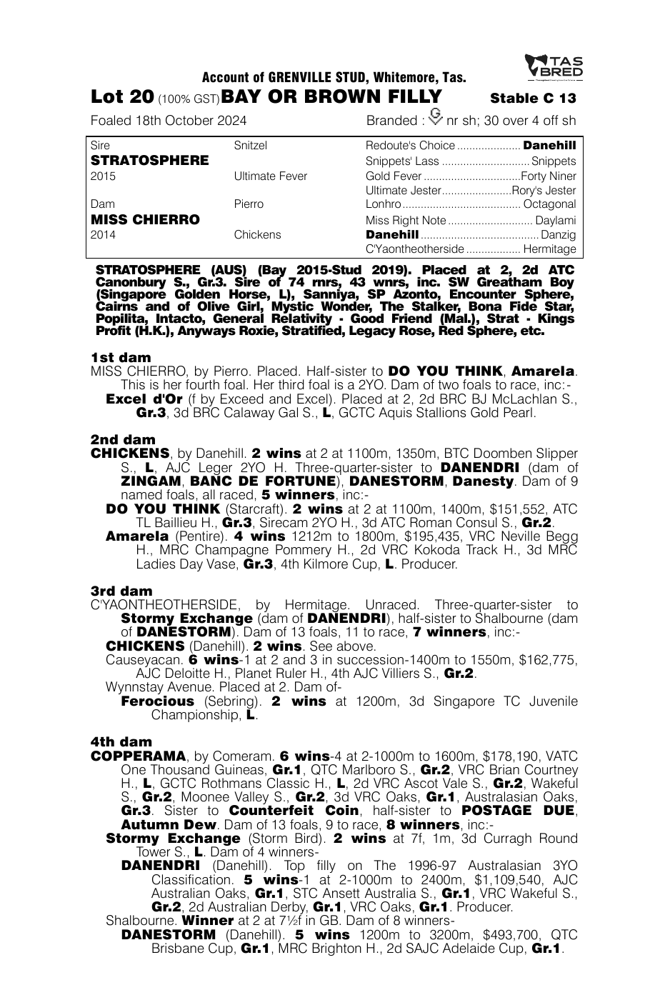 Pedigree - Lot 20