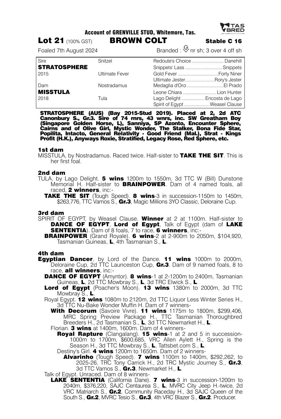 Pedigree - Lot 21