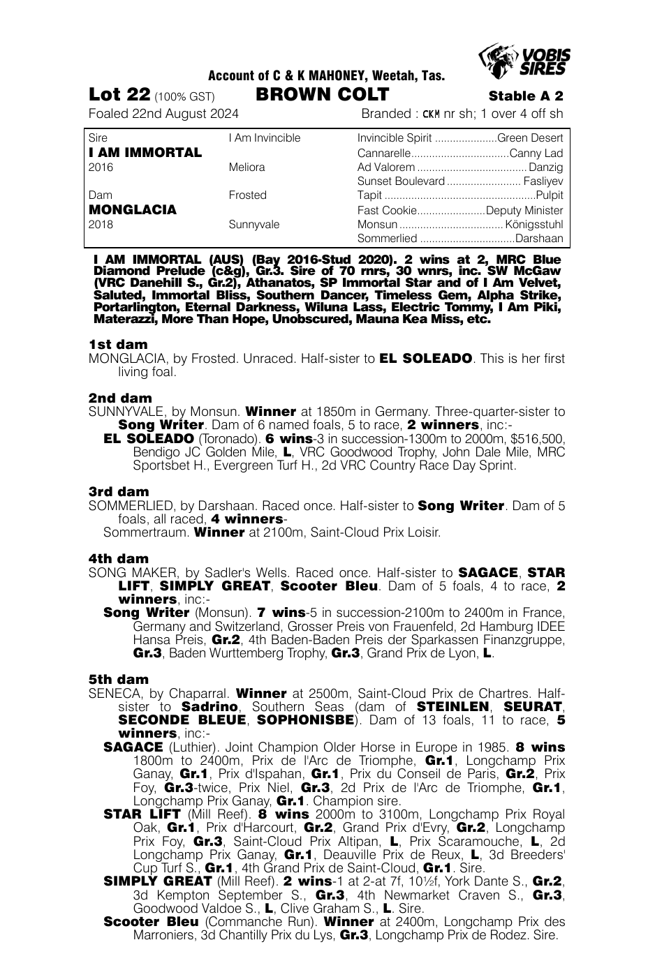 Pedigree - Lot 22