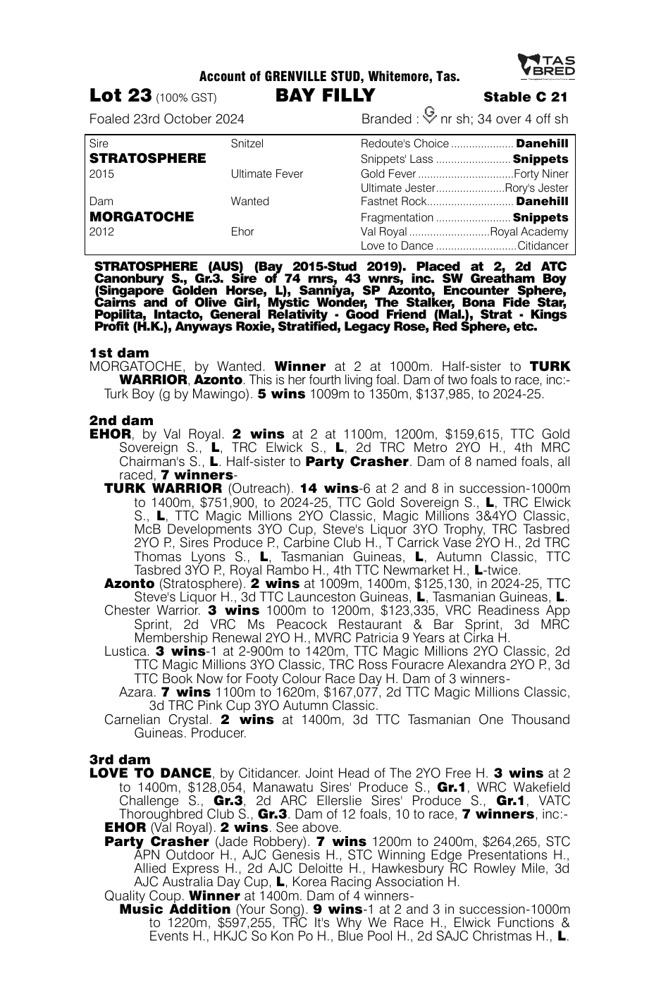 Pedigree - Lot 23