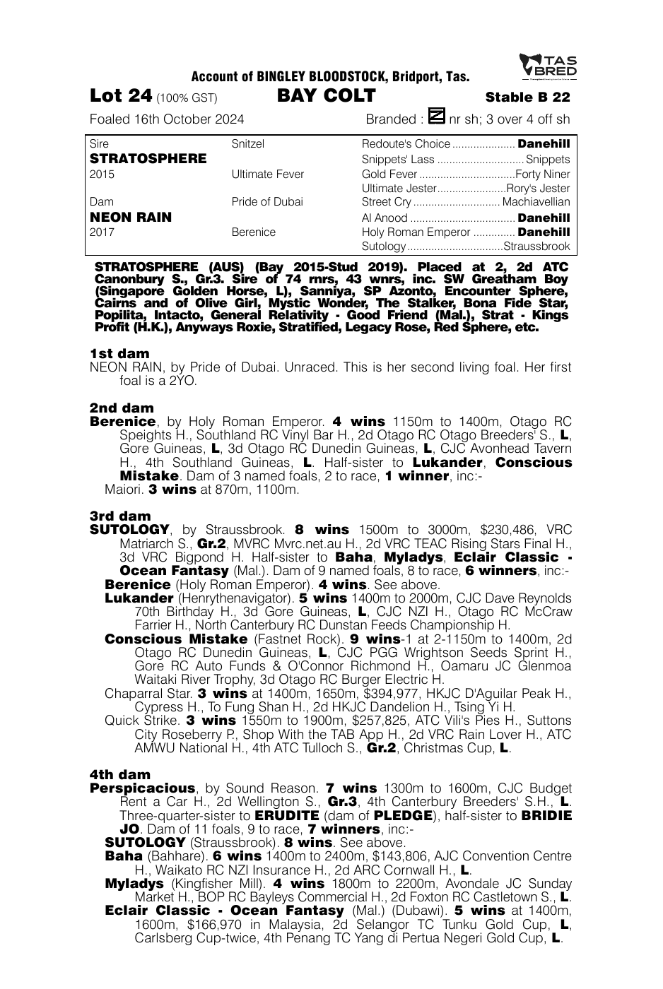 Pedigree - Lot 24