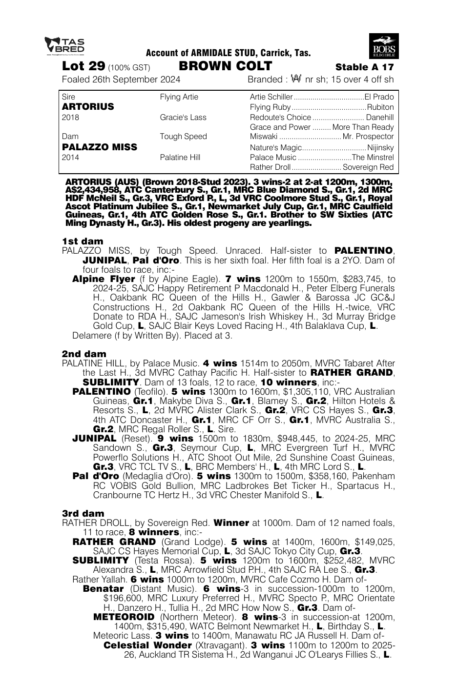 Pedigree - Lot 29