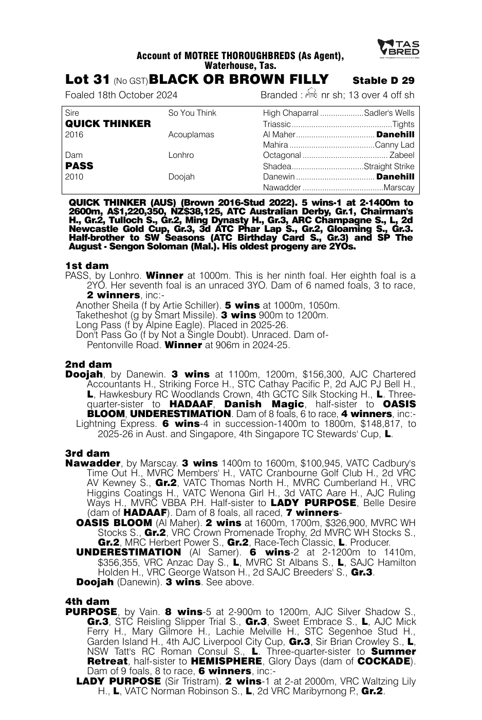 Pedigree - Lot 31