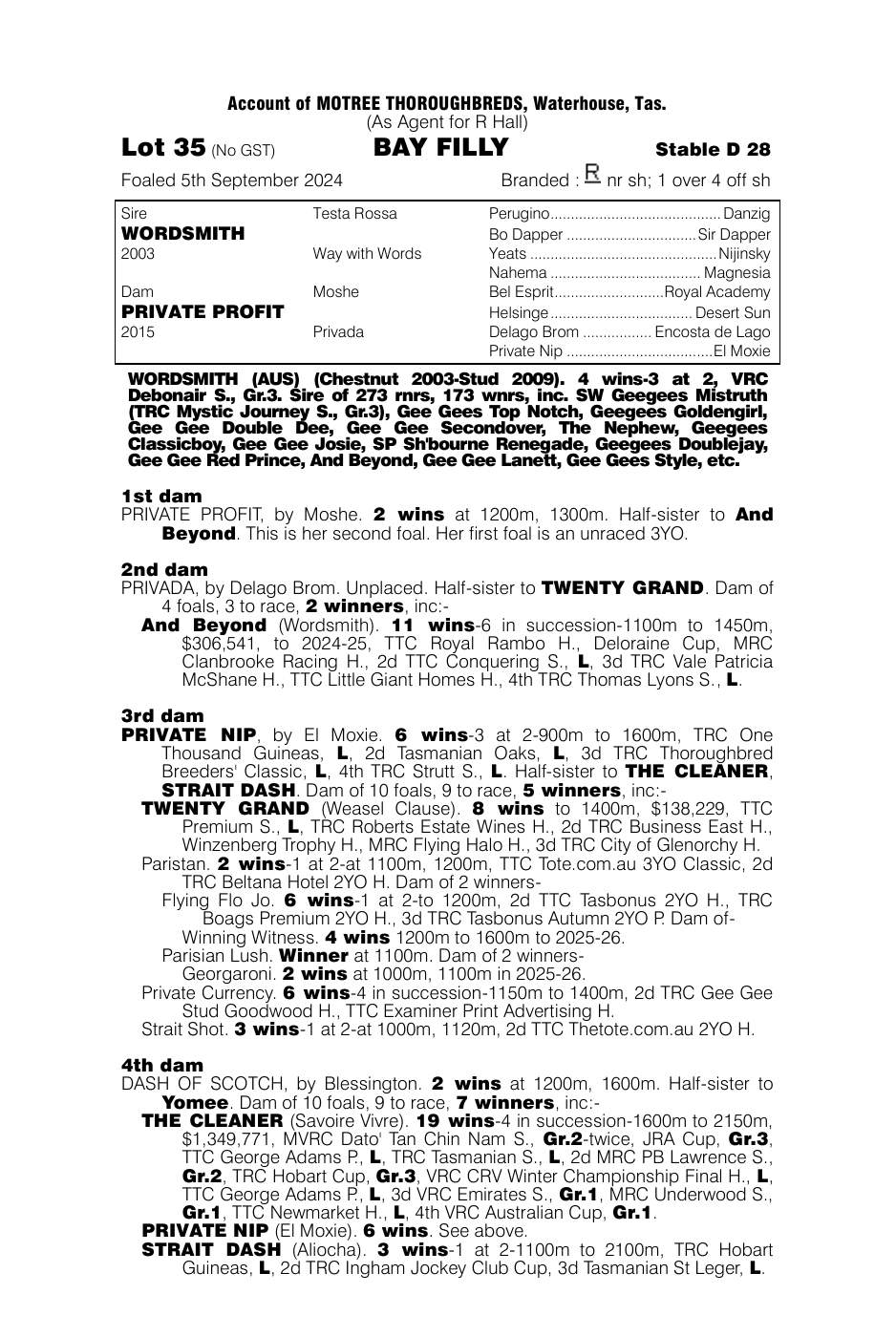 Pedigree - Lot 35