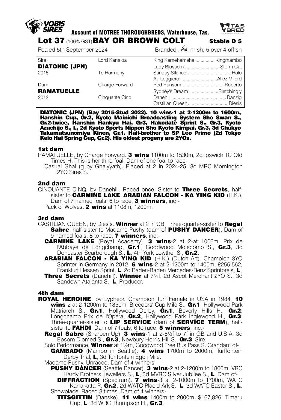 Pedigree - Lot 37