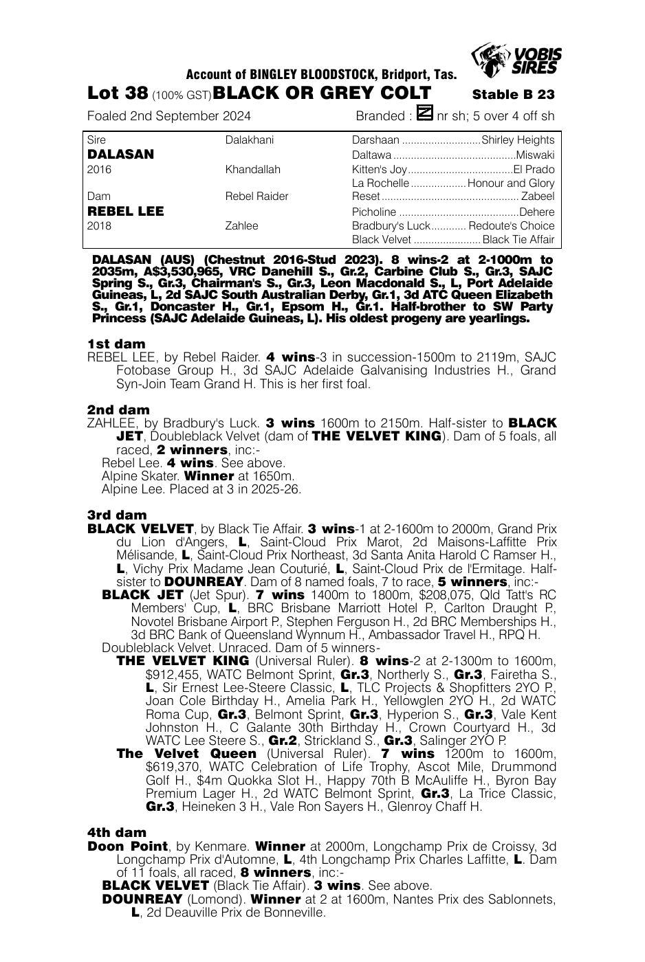 Pedigree - Lot 38