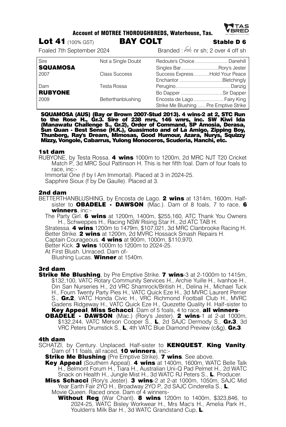 Pedigree - Lot 41