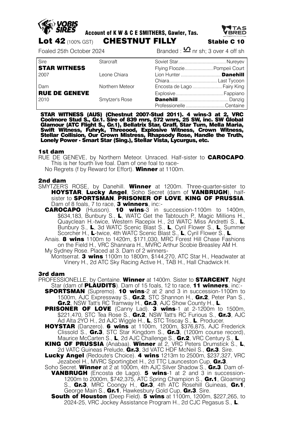 Pedigree - Lot 42