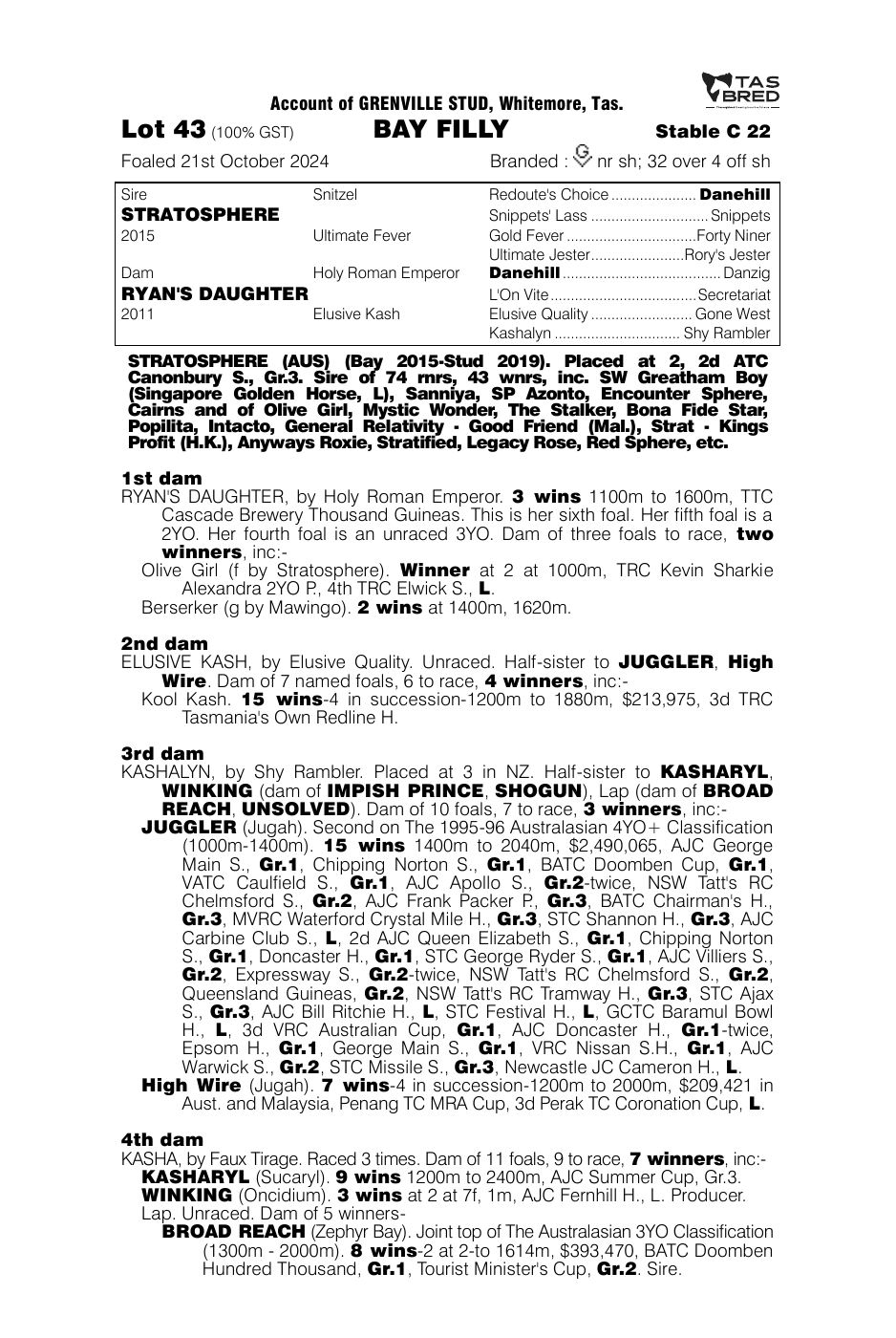 Pedigree - Lot 43