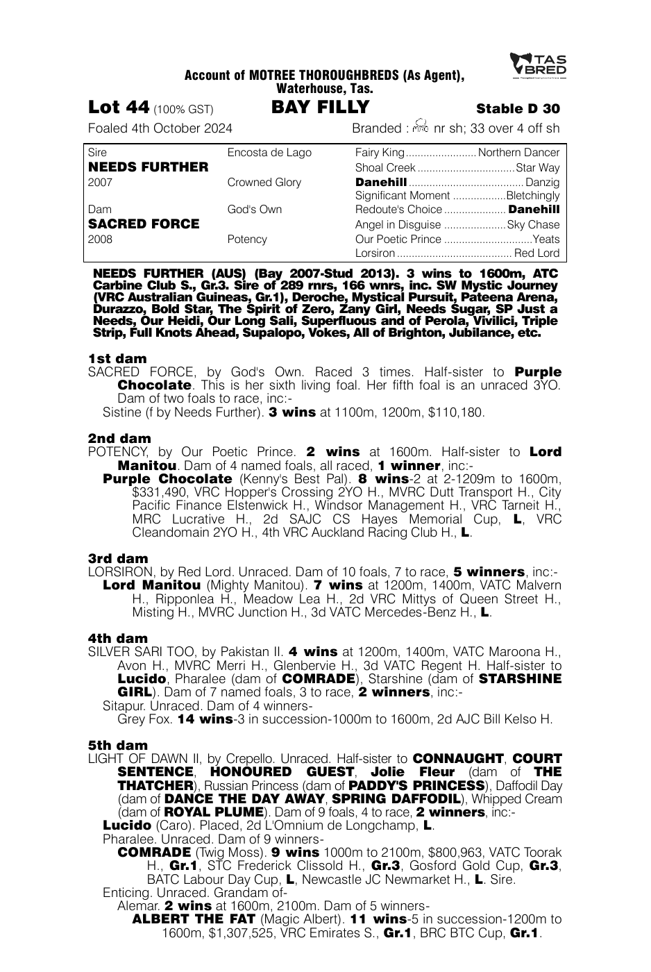 Pedigree - Lot 44