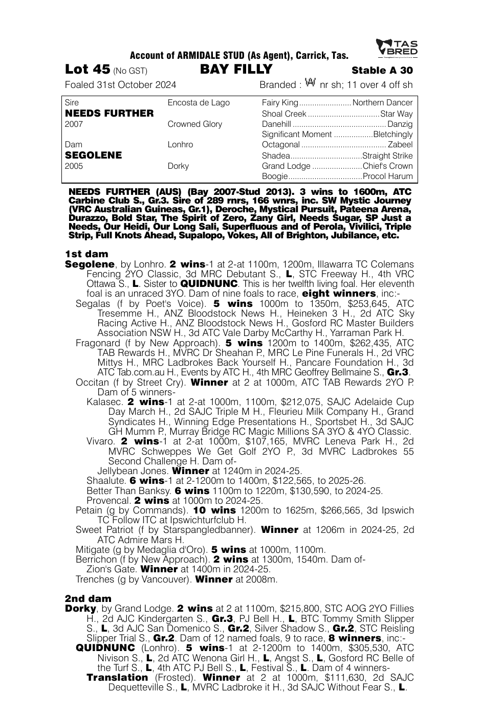 Pedigree - Lot 45