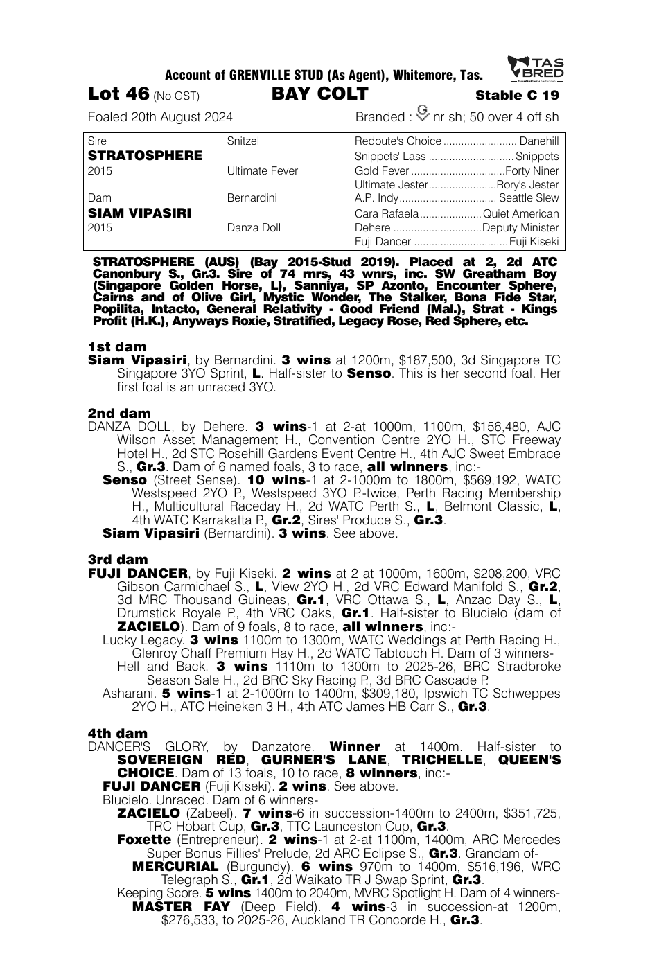 Pedigree - Lot 46