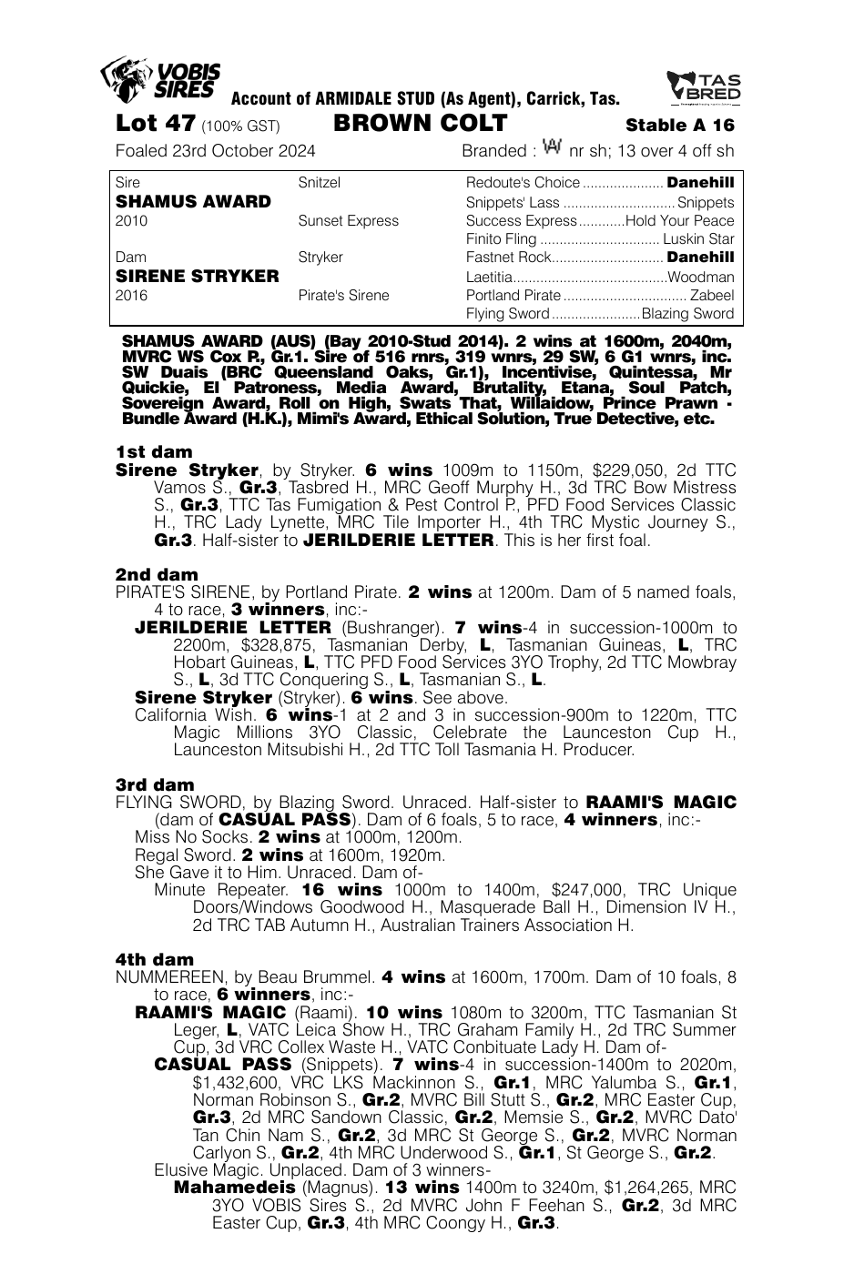 Pedigree - Lot 47