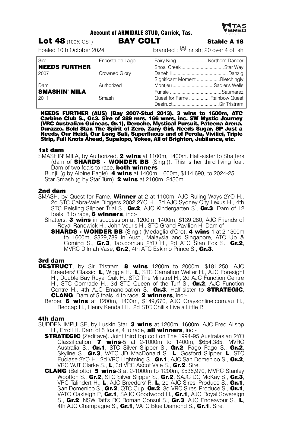 Pedigree - Lot 48