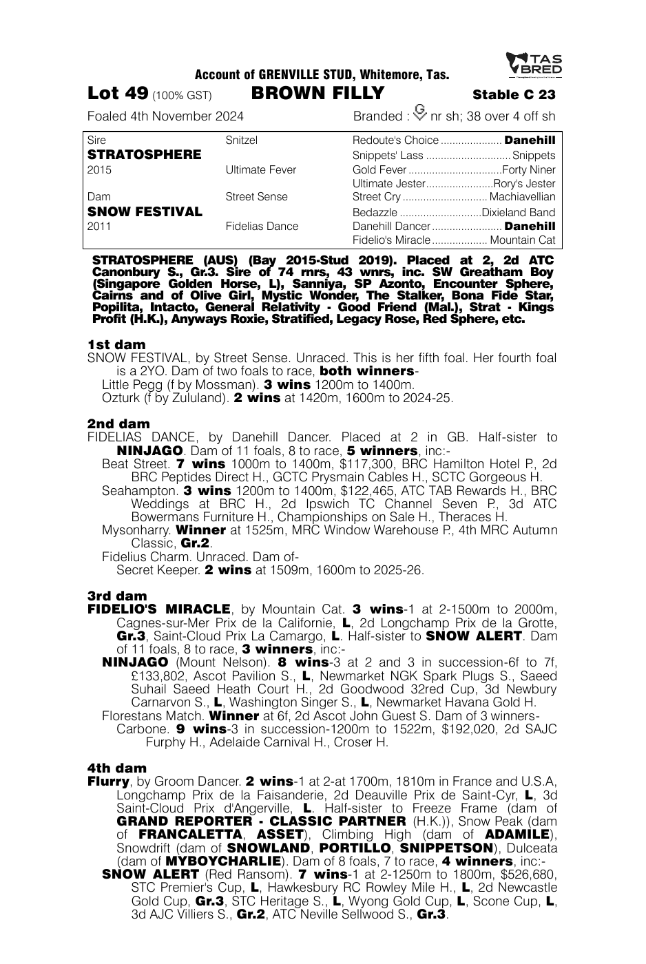 Pedigree - Lot 49