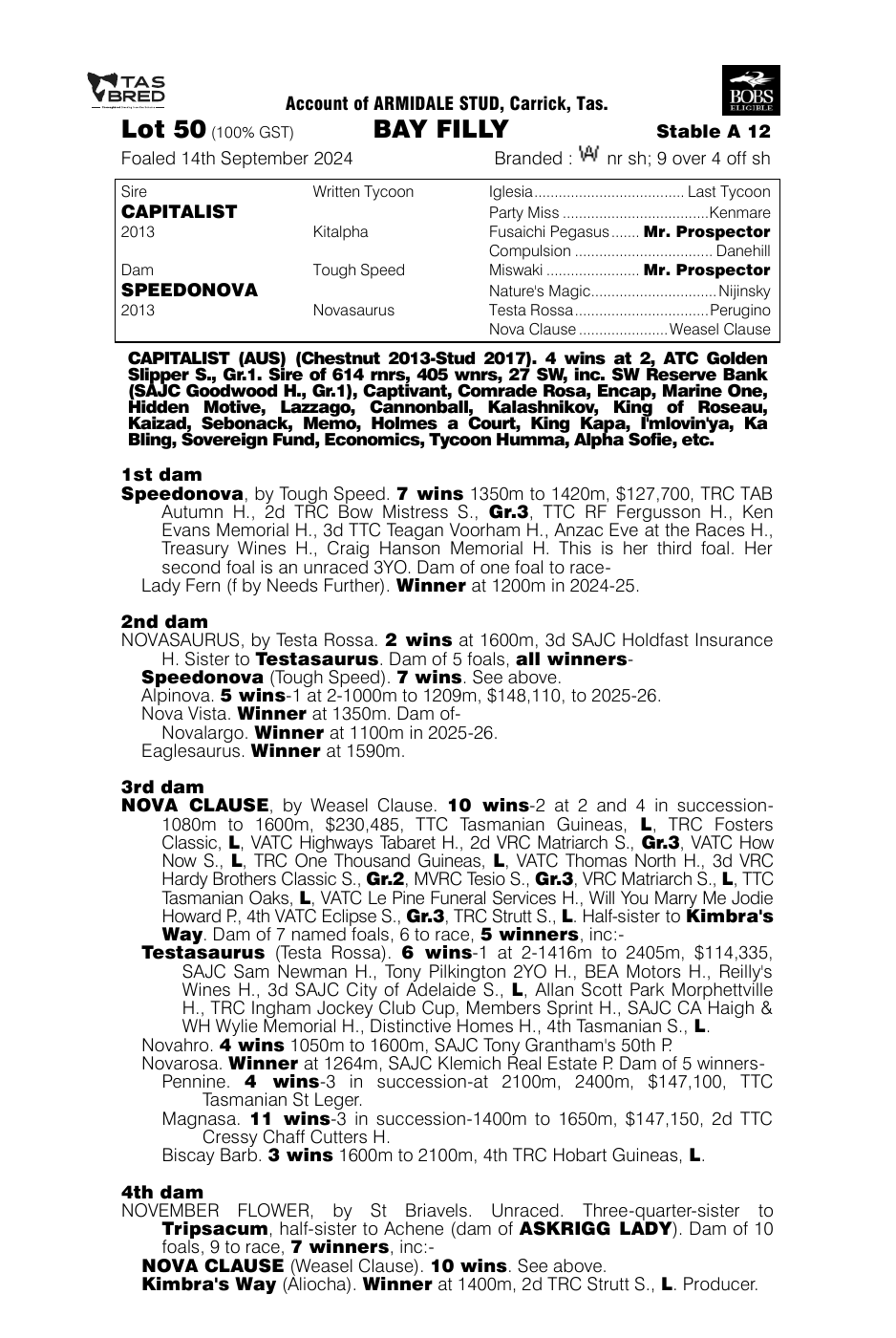 Pedigree - Lot 50