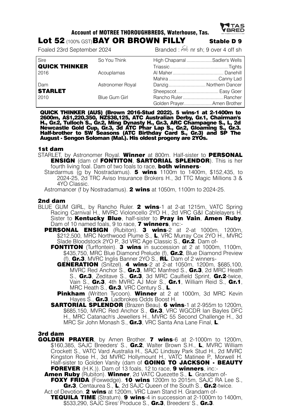 Pedigree - Lot 52