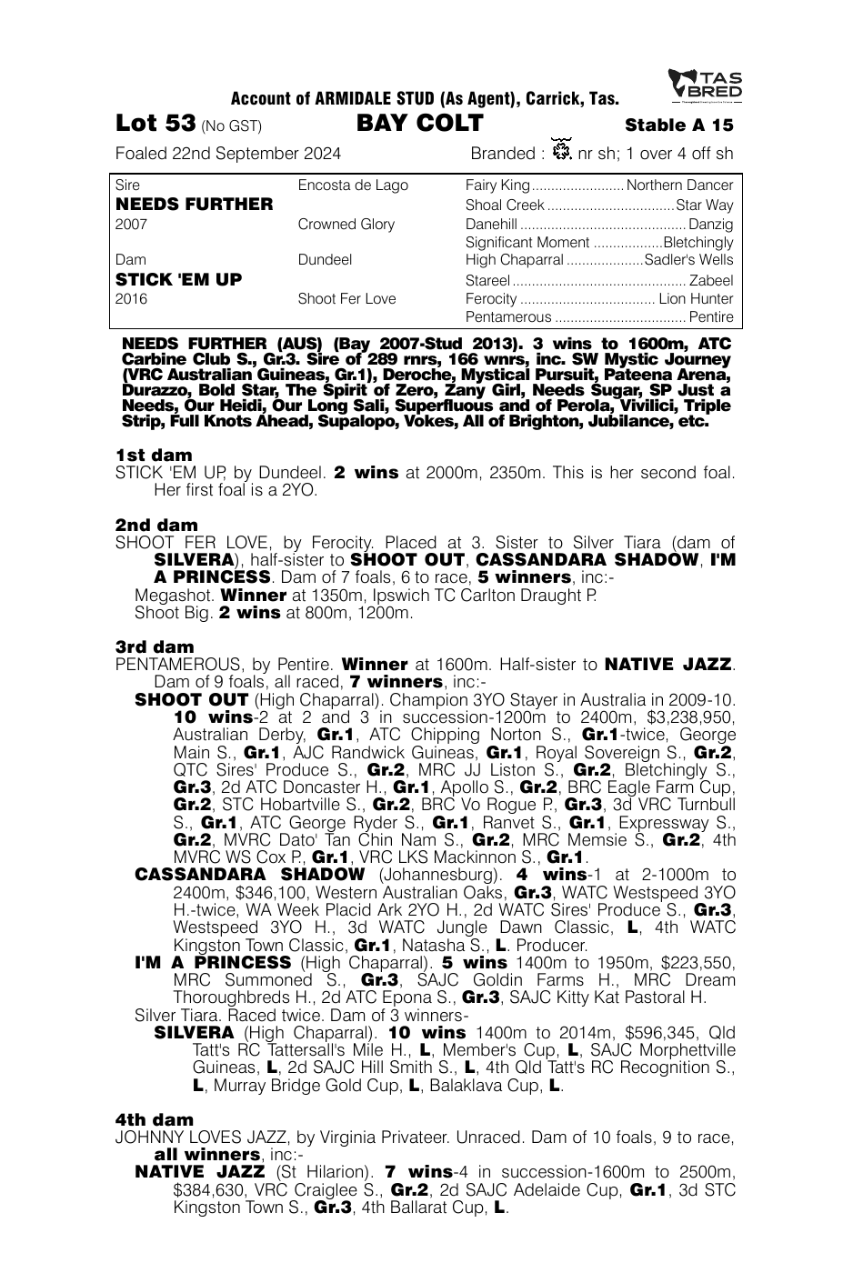 Pedigree - Lot 53