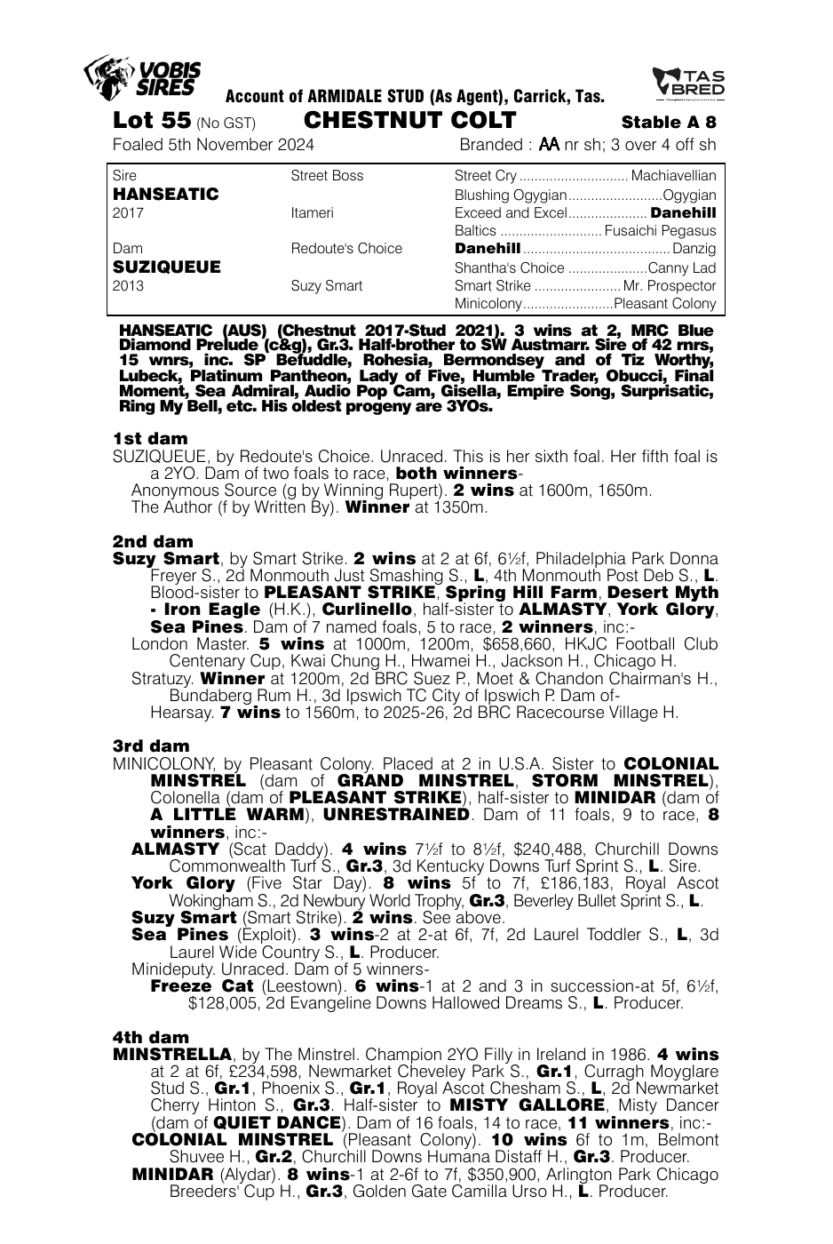 Pedigree - Lot 55