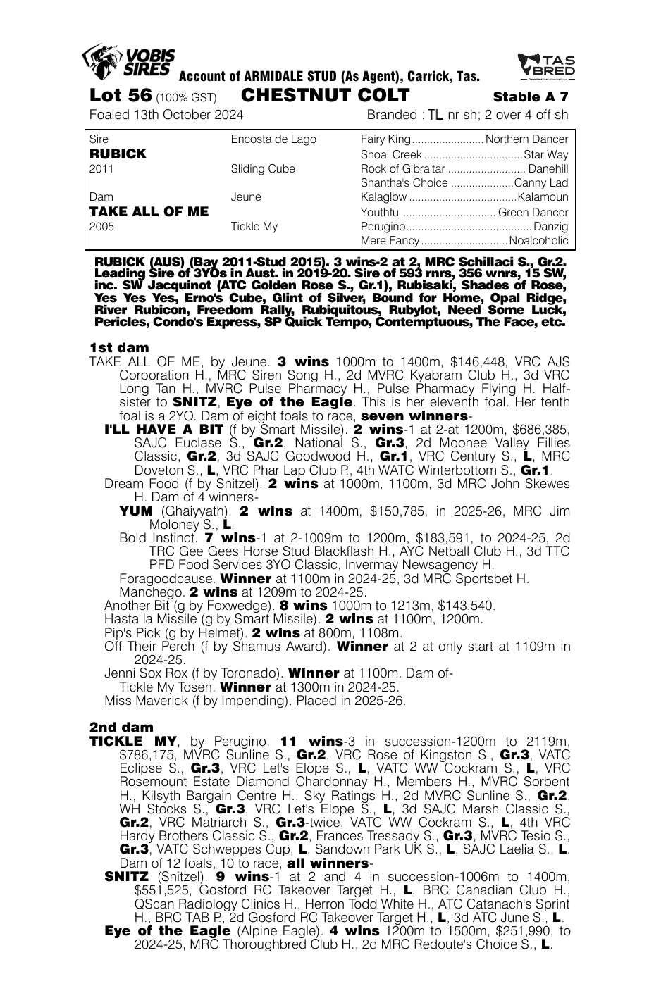 Pedigree - Lot 56