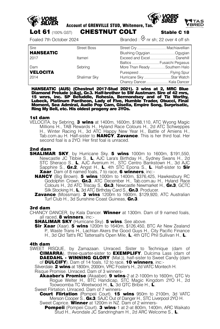 Pedigree - Lot 61