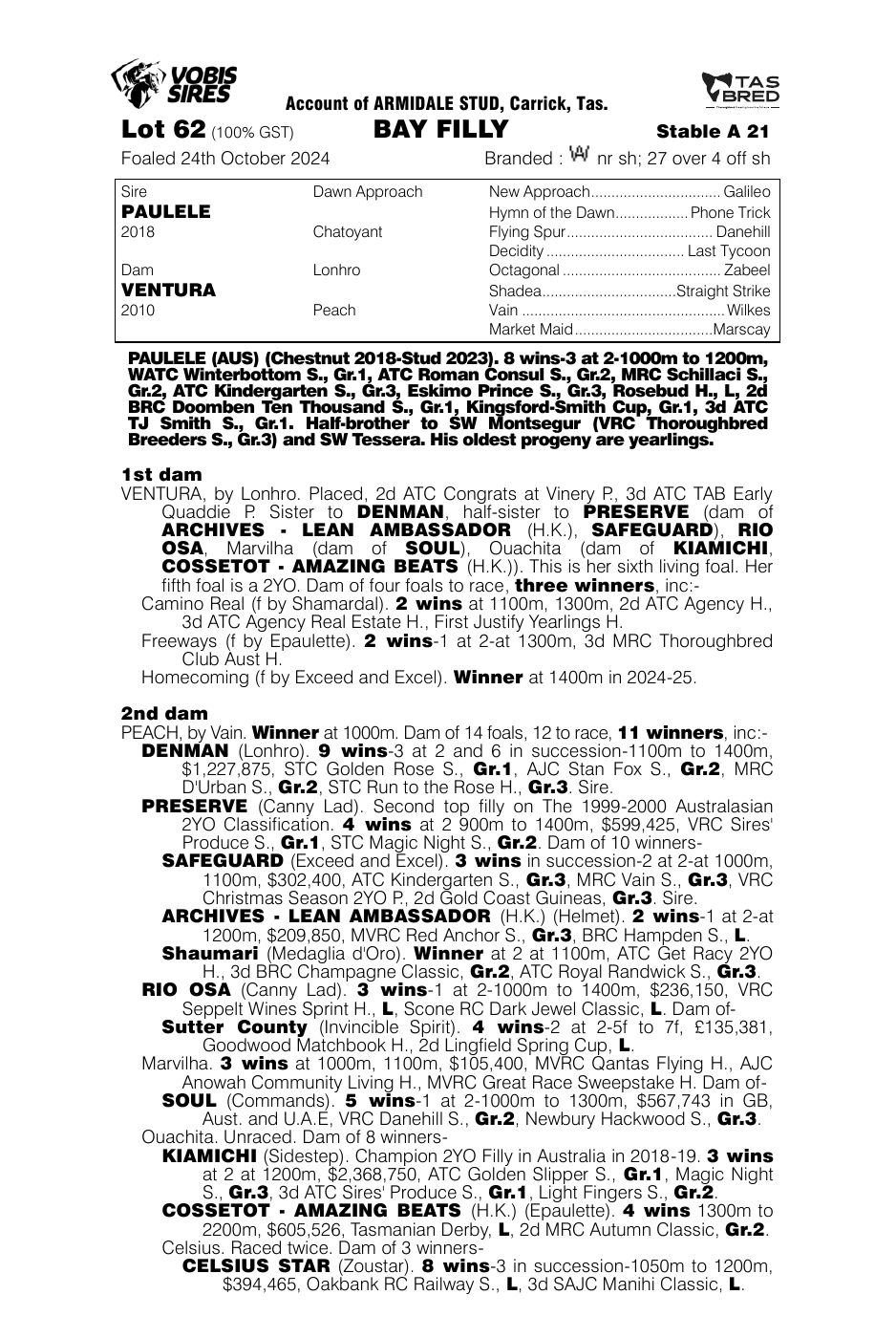 Pedigree - Lot 62