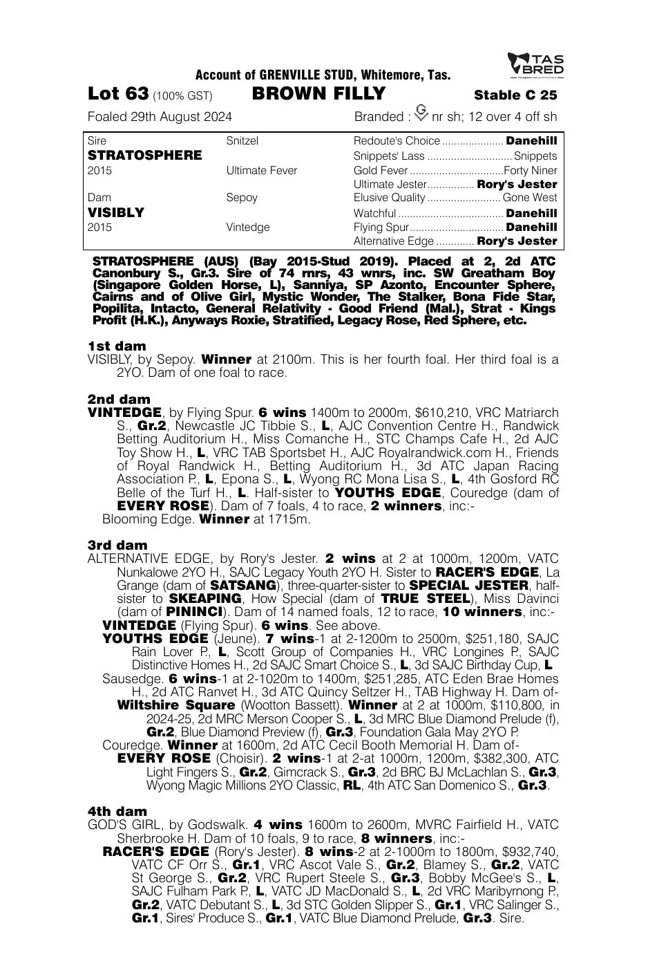 Pedigree - Lot 63