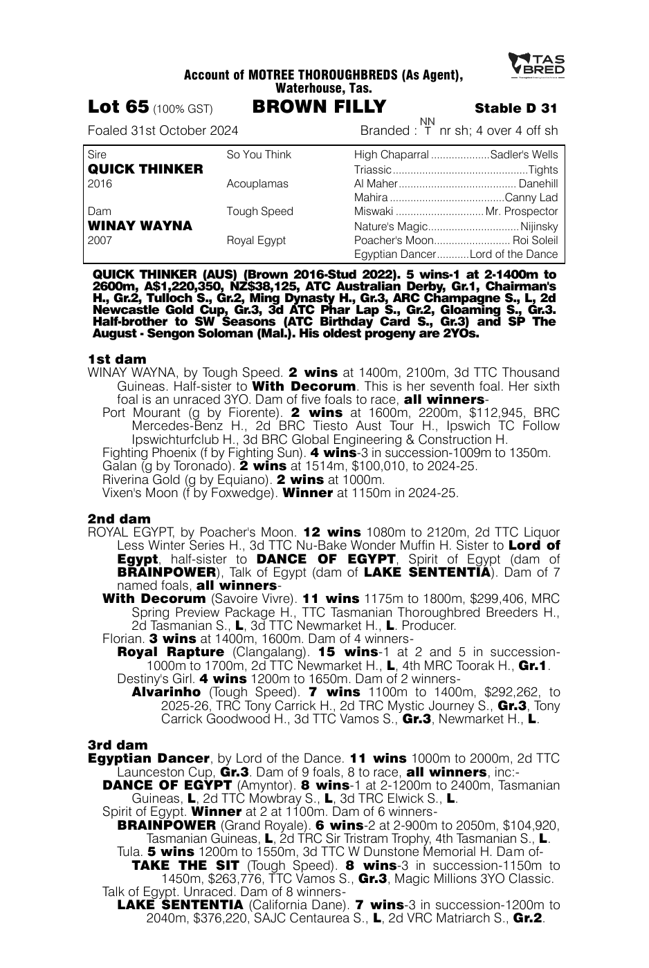 Pedigree - Lot 65