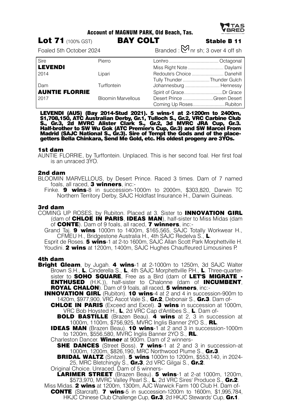 Pedigree - Lot 71