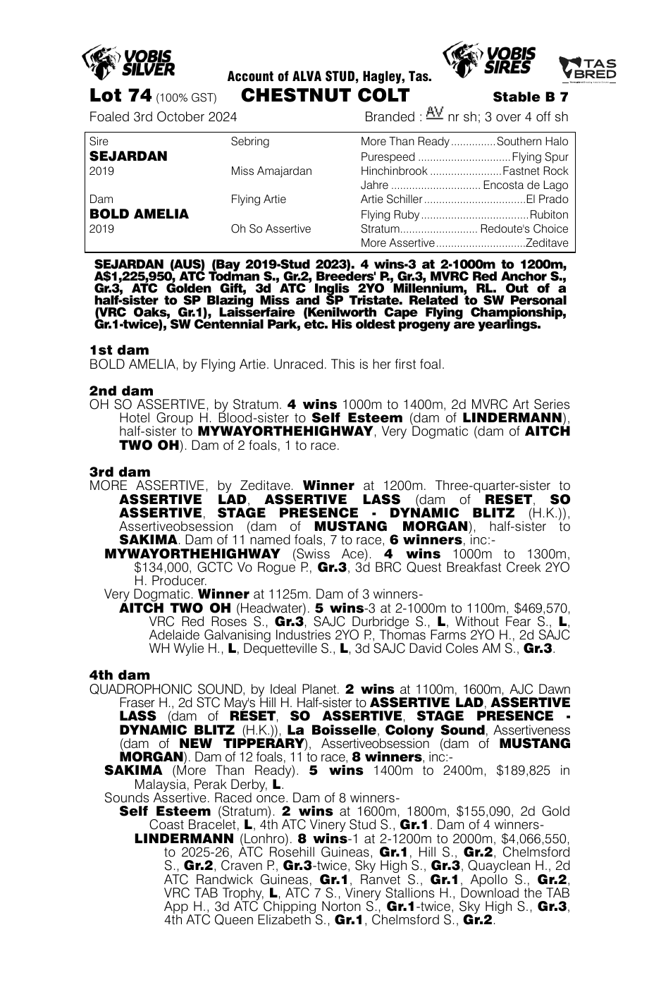 Pedigree - Lot 74