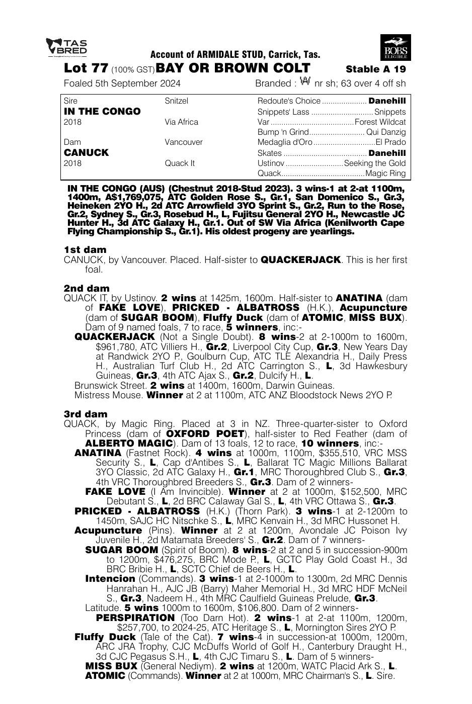 Pedigree - Lot 77