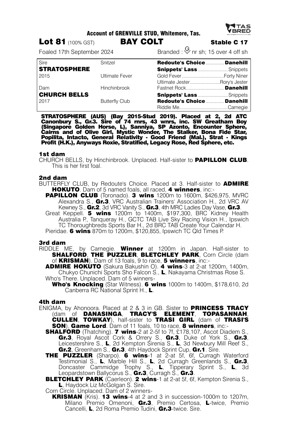Pedigree - Lot 81