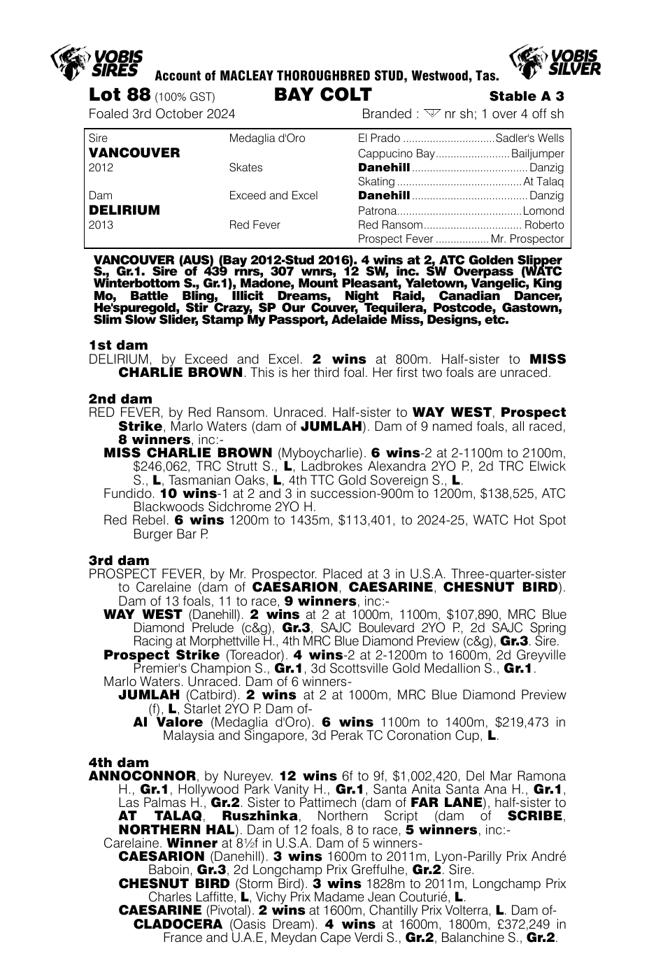 Pedigree - Lot 88