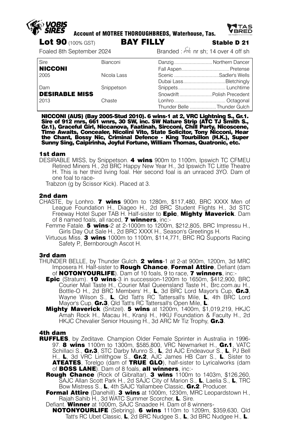 Pedigree - Lot 90