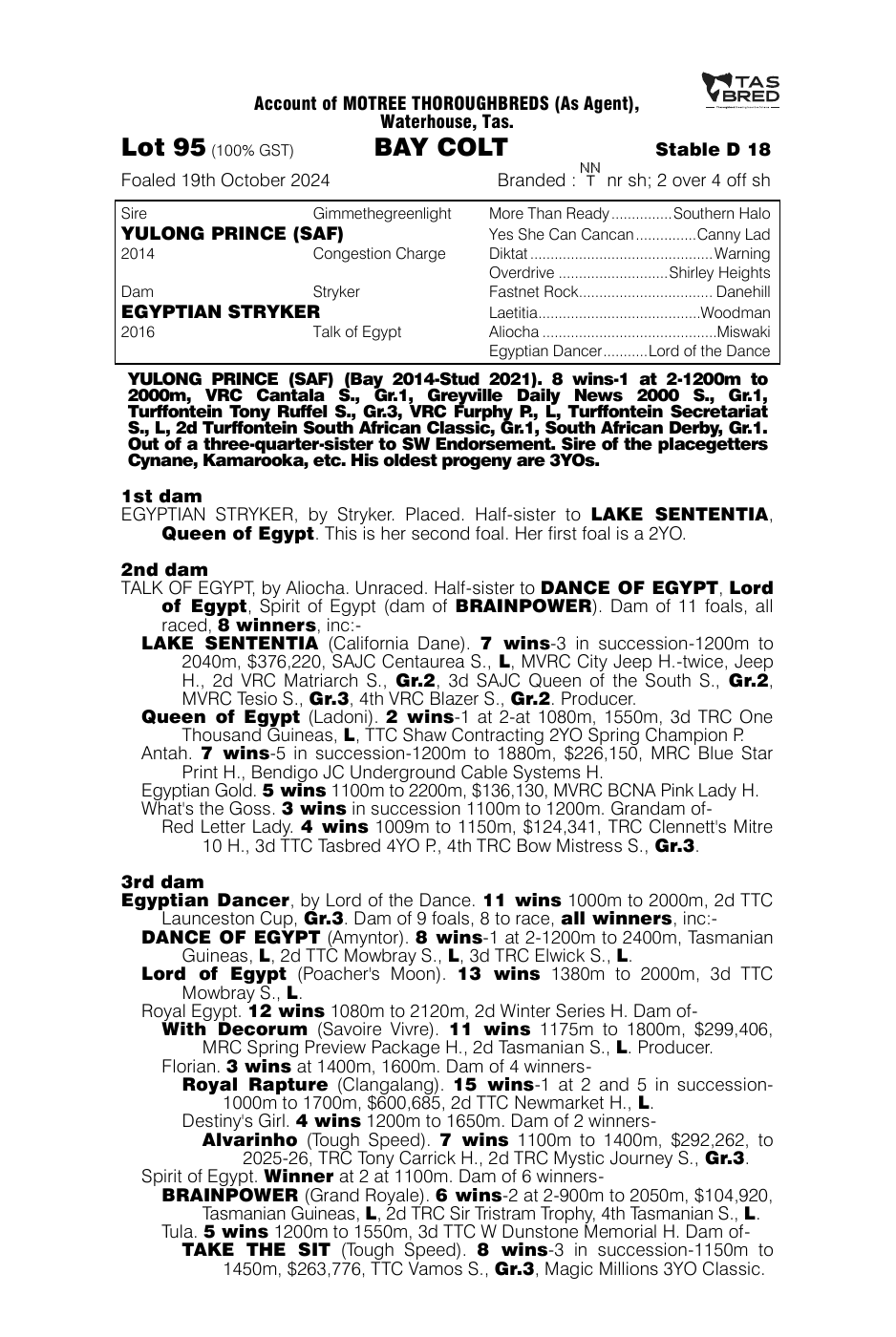 Pedigree - Lot 95