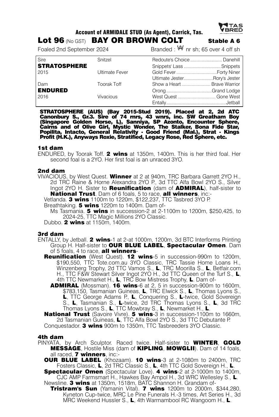 Pedigree - Lot 96