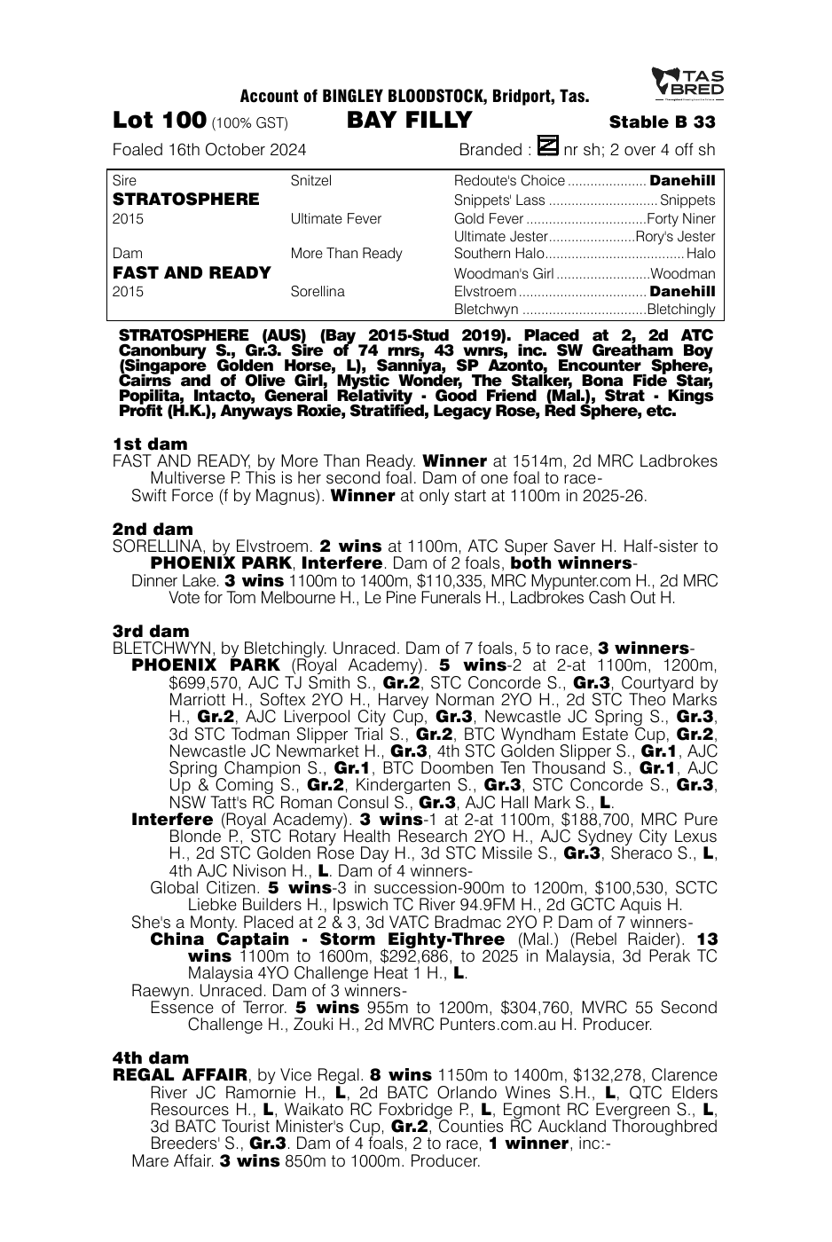 Pedigree - Lot 100