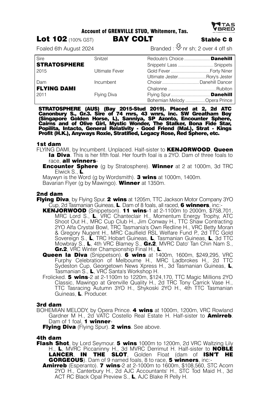 Pedigree - Lot 102