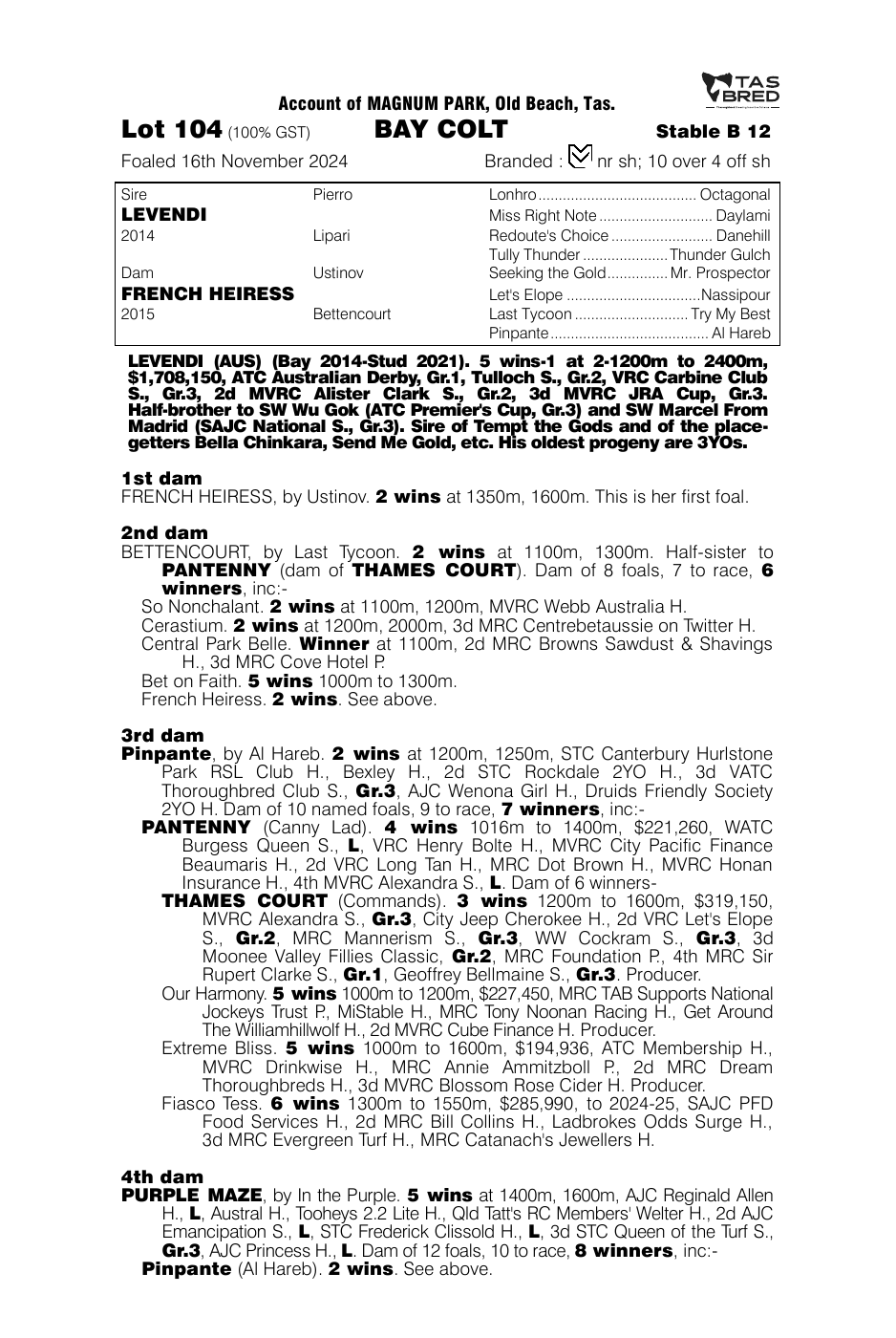 Pedigree - Lot 104