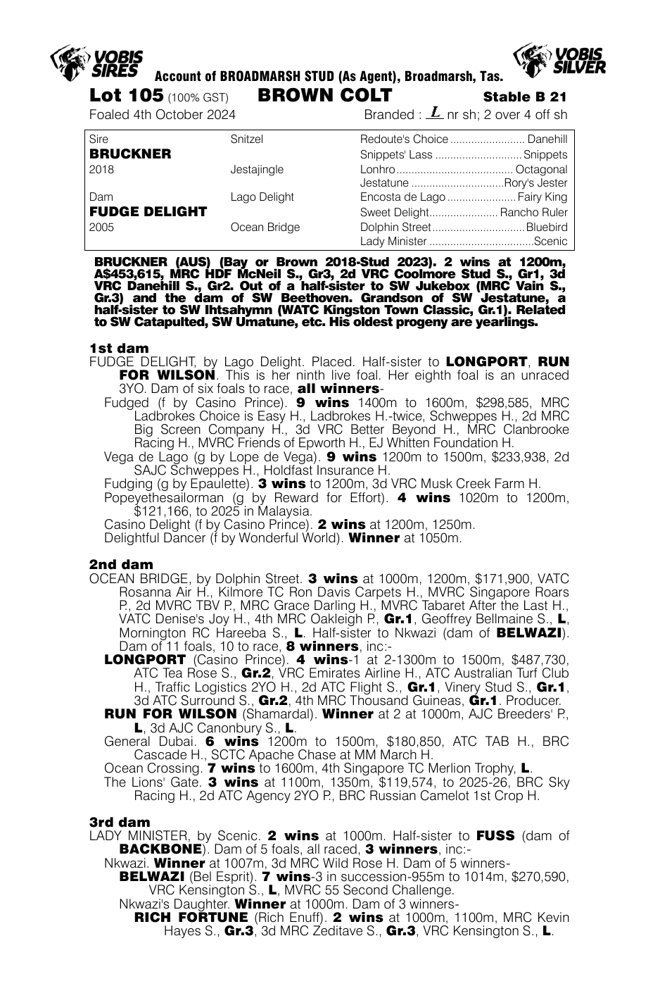 Pedigree - Lot 105