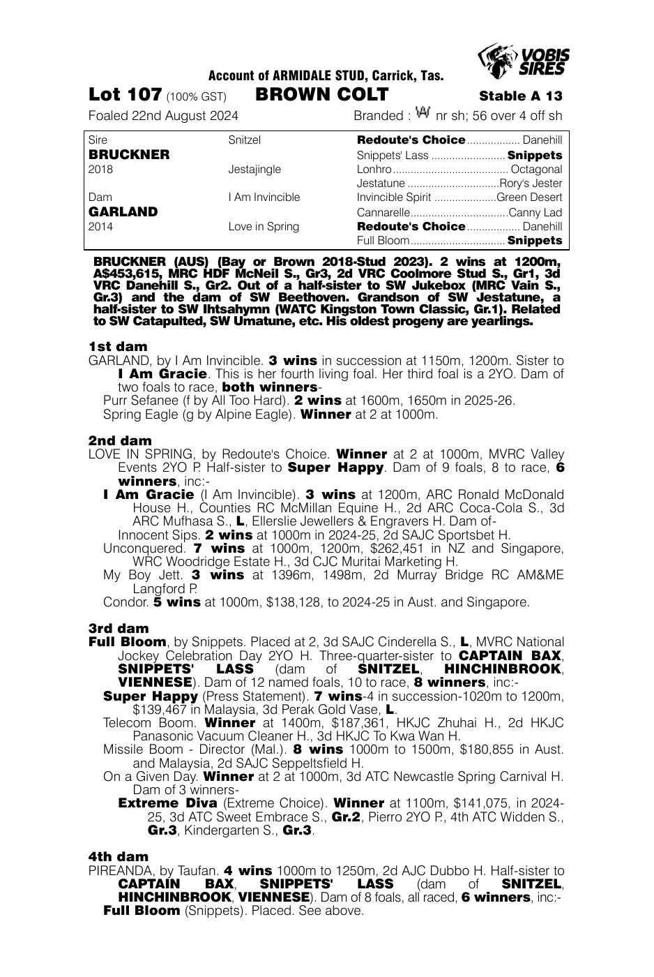 Pedigree - Lot 107