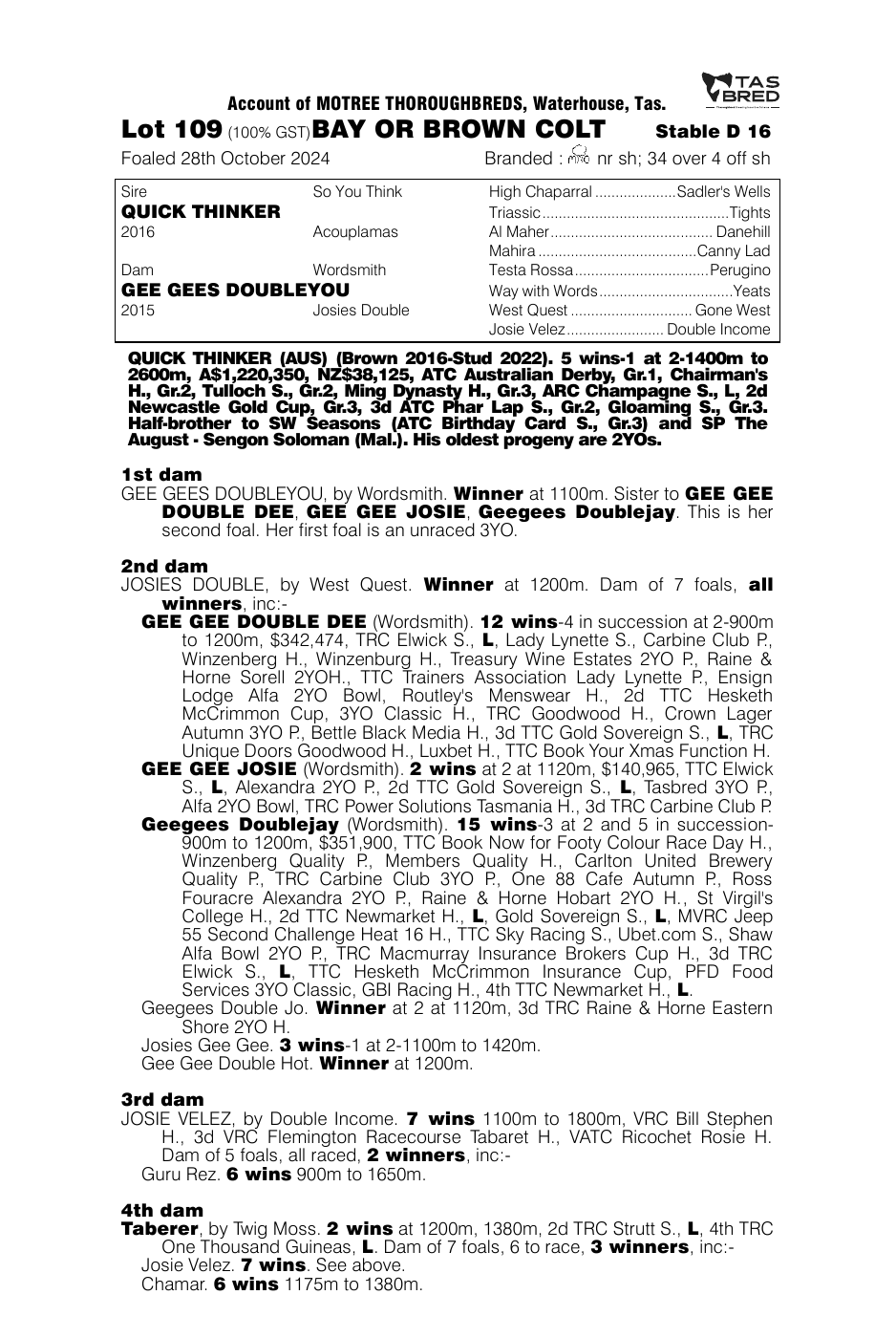 Pedigree - Lot 109