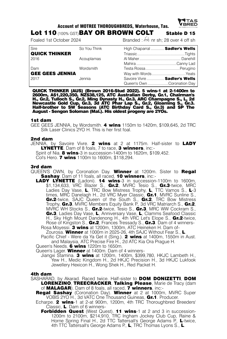 Pedigree - Lot 110