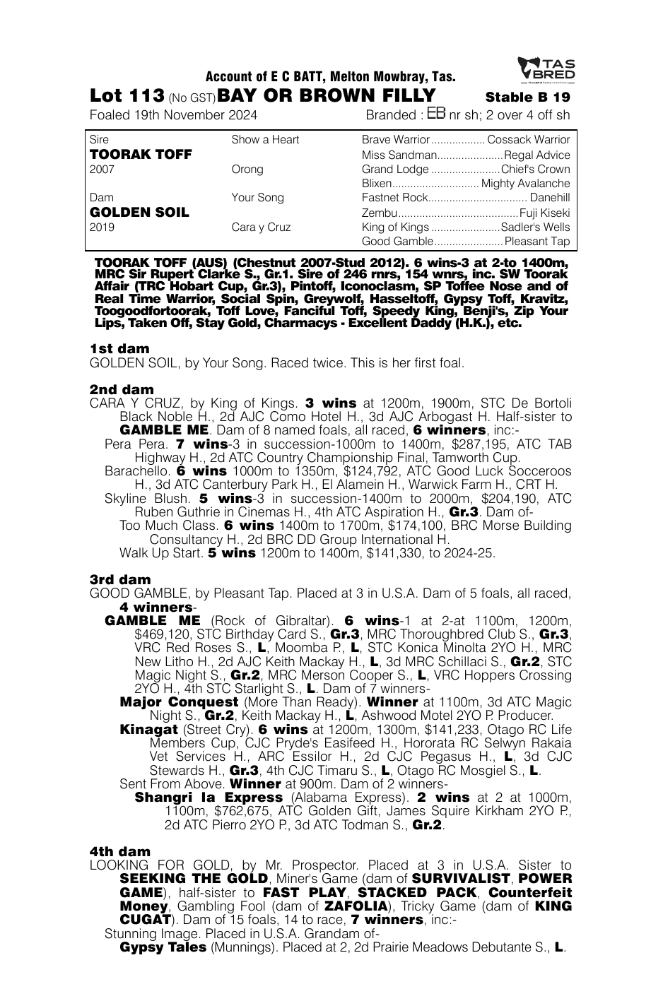 Pedigree - Lot 113