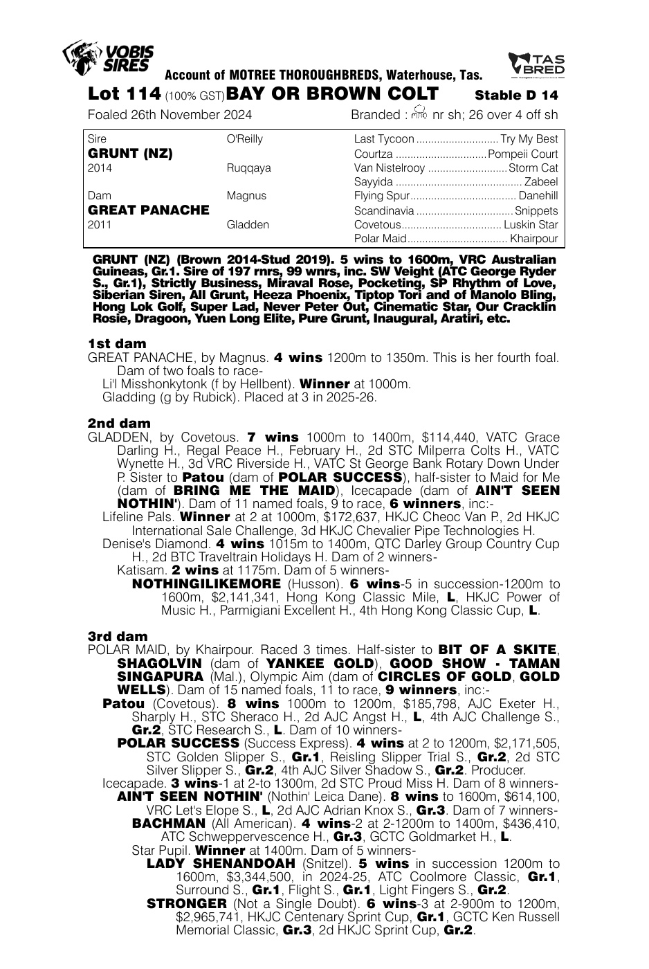 Pedigree - Lot 114