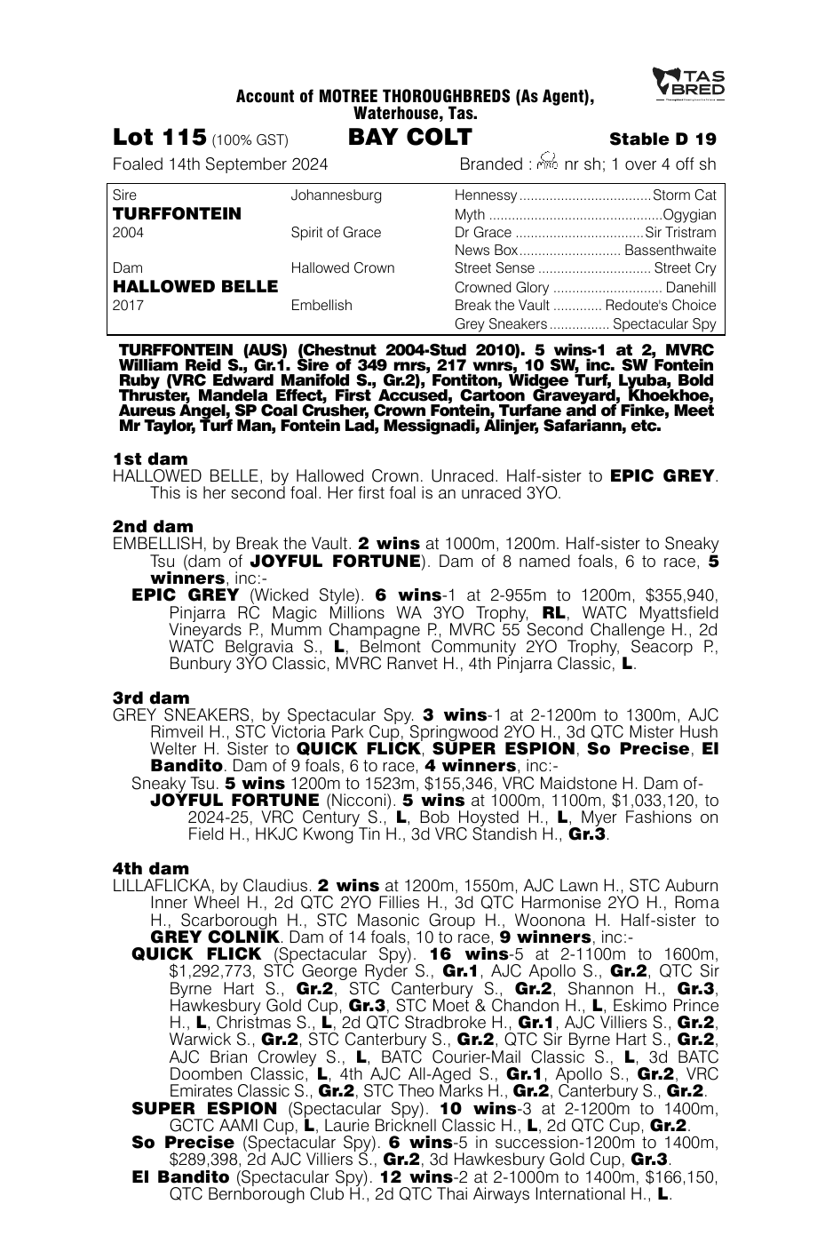 Pedigree - Lot 115