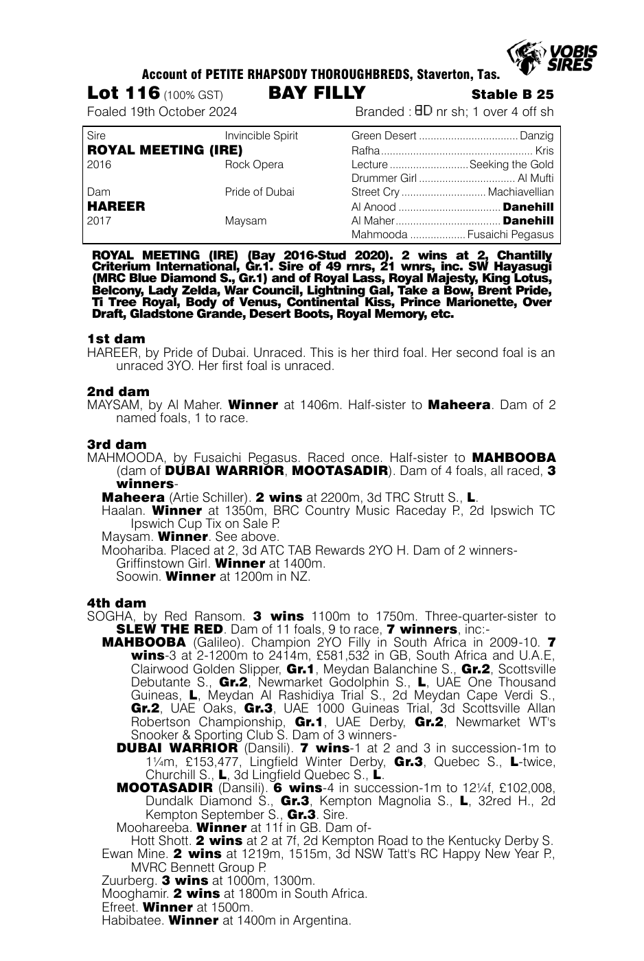 Pedigree - Lot 116