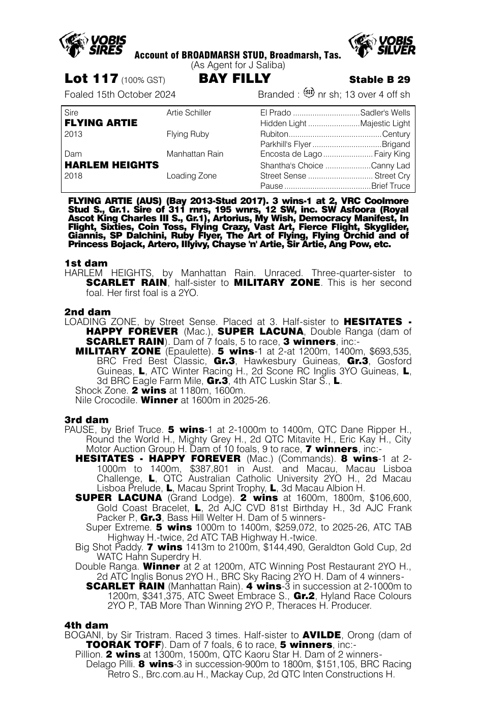Pedigree - Lot 117