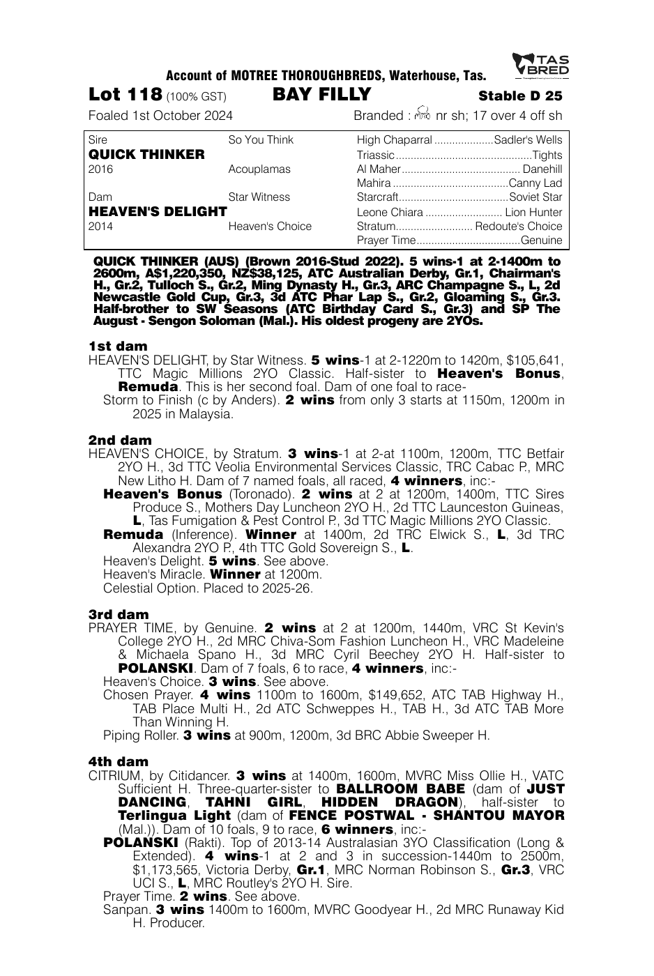 Pedigree - Lot 118