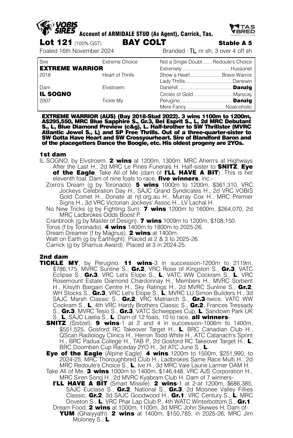 Pedigree - Lot 121